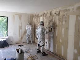 Reliable Pine Lawn, MO Mold Removal Solutions